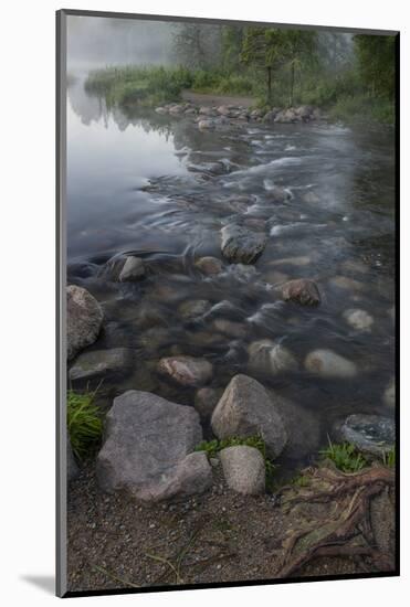 USA, Minnesota, Itasca State Park, Mississippi Headwaters-Peter Hawkins-Mounted Photographic Print