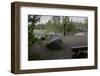 USA, Minnesota, Itasca State Park, Mississippi Headwaters-Peter Hawkins-Framed Photographic Print