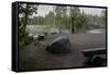 USA, Minnesota, Itasca State Park, Mississippi Headwaters-Peter Hawkins-Framed Stretched Canvas