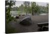 USA, Minnesota, Itasca State Park, Mississippi Headwaters-Peter Hawkins-Stretched Canvas