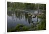 USA, Minnesota, Itasca State Park, Mississippi Headwaters-Peter Hawkins-Framed Photographic Print