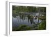 USA, Minnesota, Itasca State Park, Mississippi Headwaters-Peter Hawkins-Framed Photographic Print