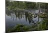 USA, Minnesota, Itasca State Park, Mississippi Headwaters-Peter Hawkins-Mounted Photographic Print