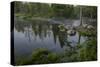 USA, Minnesota, Itasca State Park, Mississippi Headwaters-Peter Hawkins-Stretched Canvas