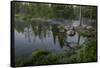 USA, Minnesota, Itasca State Park, Mississippi Headwaters-Peter Hawkins-Framed Stretched Canvas