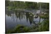 USA, Minnesota, Itasca State Park, Mississippi Headwaters-Peter Hawkins-Stretched Canvas