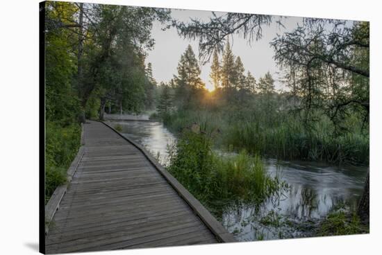 USA, Minnesota, Itasca State Park, Mississippi Headwaters-Peter Hawkins-Stretched Canvas