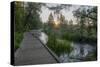 USA, Minnesota, Itasca State Park, Mississippi Headwaters-Peter Hawkins-Stretched Canvas