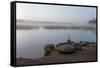 USA, Minnesota, Itasca State Park, Mississippi Headwaters-Peter Hawkins-Framed Stretched Canvas