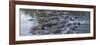 USA, Minnesota, Itasca State Park-Peter Hawkins-Framed Photographic Print