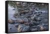 USA, Minnesota, Itasca State Park-Peter Hawkins-Framed Stretched Canvas