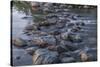 USA, Minnesota, Itasca State Park-Peter Hawkins-Stretched Canvas