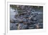 USA, Minnesota, Itasca State Park-Peter Hawkins-Framed Premium Photographic Print