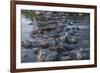 USA, Minnesota, Itasca State Park-Peter Hawkins-Framed Premium Photographic Print