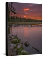 USA, Minnesota, Itasca State Park-Peter Hawkins-Stretched Canvas