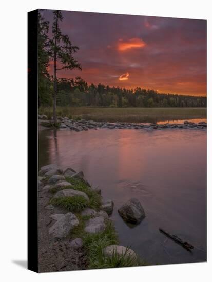 USA, Minnesota, Itasca State Park-Peter Hawkins-Stretched Canvas