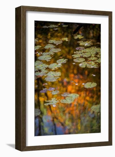 USA, Minnesota, Itasca State Park-Peter Hawkins-Framed Photographic Print