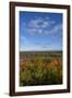 USA, Minnesota, Itasca State Park-Peter Hawkins-Framed Photographic Print