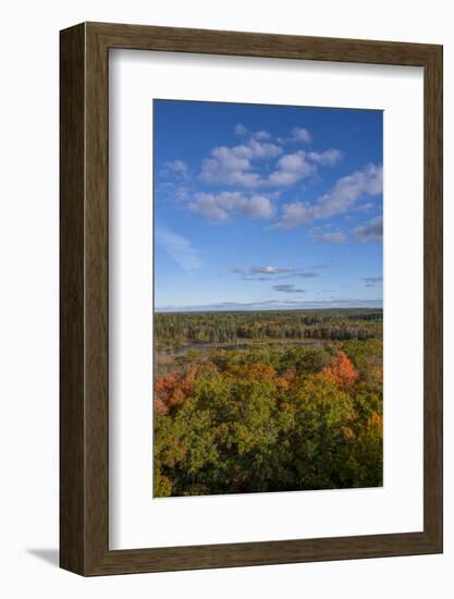 USA, Minnesota, Itasca State Park-Peter Hawkins-Framed Photographic Print