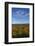 USA, Minnesota, Itasca State Park-Peter Hawkins-Framed Photographic Print