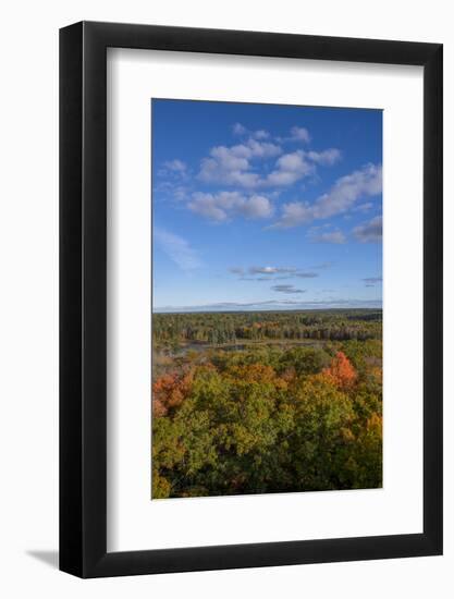 USA, Minnesota, Itasca State Park-Peter Hawkins-Framed Photographic Print