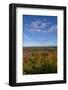 USA, Minnesota, Itasca State Park-Peter Hawkins-Framed Photographic Print