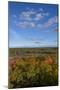 USA, Minnesota, Itasca State Park-Peter Hawkins-Mounted Photographic Print