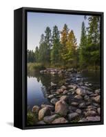 USA, Minnesota, Itasca State Park-Peter Hawkins-Framed Stretched Canvas