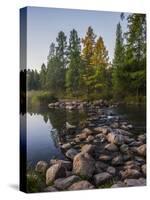 USA, Minnesota, Itasca State Park-Peter Hawkins-Stretched Canvas