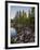 USA, Minnesota, Itasca State Park-Peter Hawkins-Framed Photographic Print