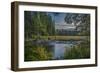 USA, Minnesota, Itasca State Park-Peter Hawkins-Framed Photographic Print