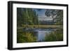 USA, Minnesota, Itasca State Park-Peter Hawkins-Framed Photographic Print