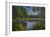 USA, Minnesota, Itasca State Park-Peter Hawkins-Framed Photographic Print