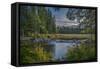 USA, Minnesota, Itasca State Park-Peter Hawkins-Framed Stretched Canvas