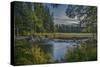 USA, Minnesota, Itasca State Park-Peter Hawkins-Stretched Canvas