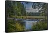 USA, Minnesota, Itasca State Park-Peter Hawkins-Framed Stretched Canvas