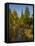 USA, Minnesota, Itasca State Park-Peter Hawkins-Framed Stretched Canvas