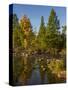 USA, Minnesota, Itasca State Park-Peter Hawkins-Stretched Canvas