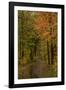 USA, Minnesota, Itasca State Park-Peter Hawkins-Framed Photographic Print