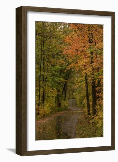 USA, Minnesota, Itasca State Park-Peter Hawkins-Framed Photographic Print