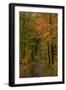 USA, Minnesota, Itasca State Park-Peter Hawkins-Framed Photographic Print