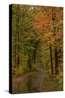 USA, Minnesota, Itasca State Park-Peter Hawkins-Stretched Canvas