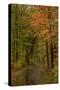 USA, Minnesota, Itasca State Park-Peter Hawkins-Stretched Canvas