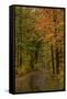 USA, Minnesota, Itasca State Park-Peter Hawkins-Framed Stretched Canvas