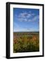 USA, Minnesota, Itasca State Park-Peter Hawkins-Framed Photographic Print