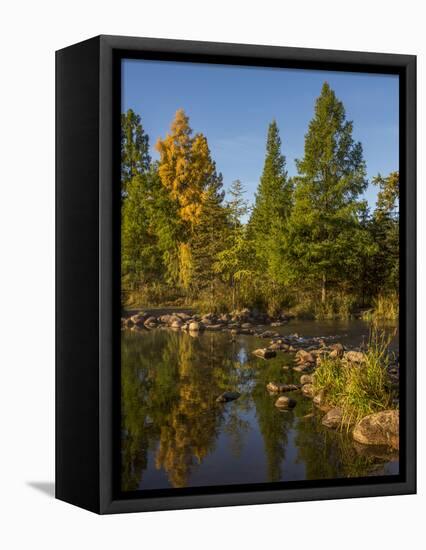 USA, Minnesota, Itasca State Park-Peter Hawkins-Framed Stretched Canvas