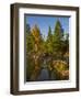 USA, Minnesota, Itasca State Park-Peter Hawkins-Framed Photographic Print