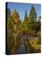 USA, Minnesota, Itasca State Park-Peter Hawkins-Stretched Canvas