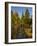 USA, Minnesota, Itasca State Park-Peter Hawkins-Framed Photographic Print