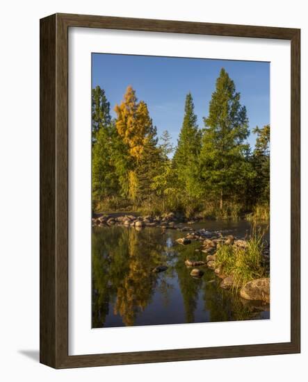 USA, Minnesota, Itasca State Park-Peter Hawkins-Framed Photographic Print